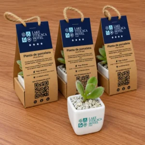 Suculenta Corporativa Personalizada